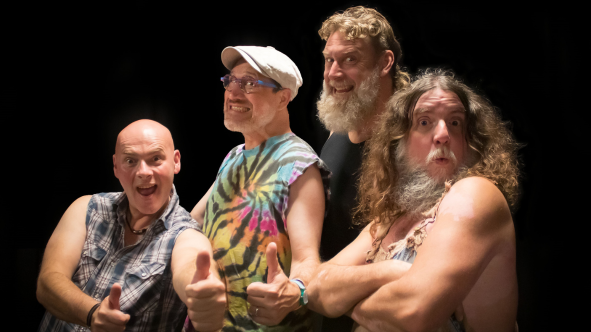 Hayseed Dixie
