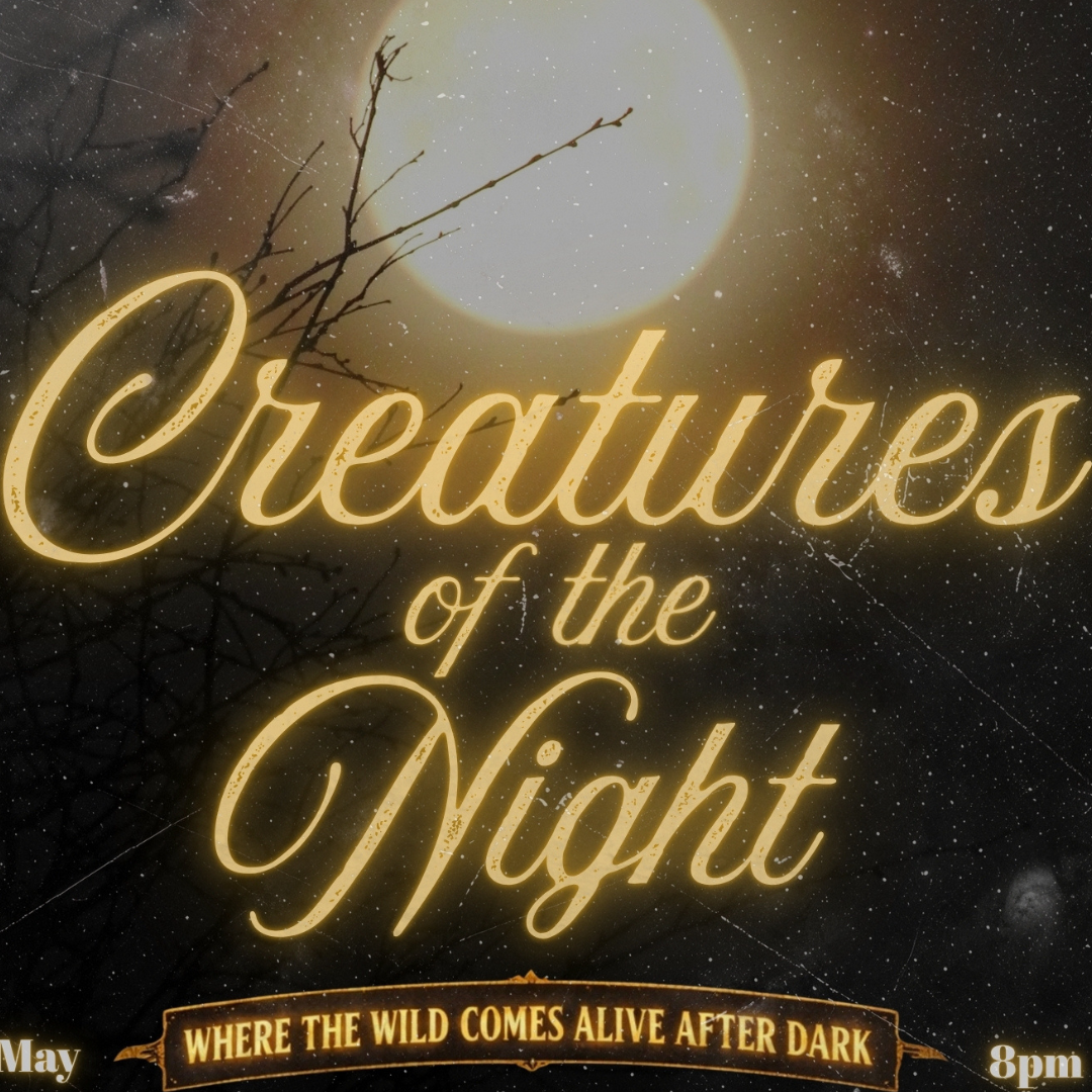 NOUVEAU CABARET – CREATURES OF THE NIGHT…